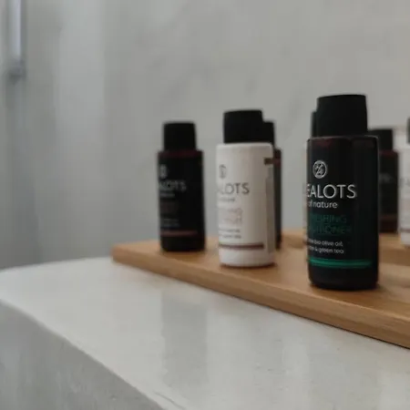 Eolia Luxury Andros Vila
